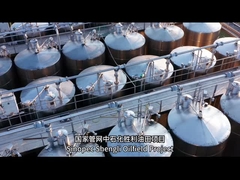 ما هي بعض الأمثلة على مشاريع الحاويات الناجحة؟